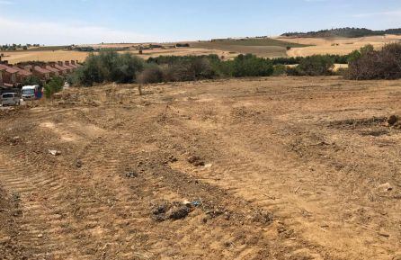 Imagen de la finca tras la tala de los árboles