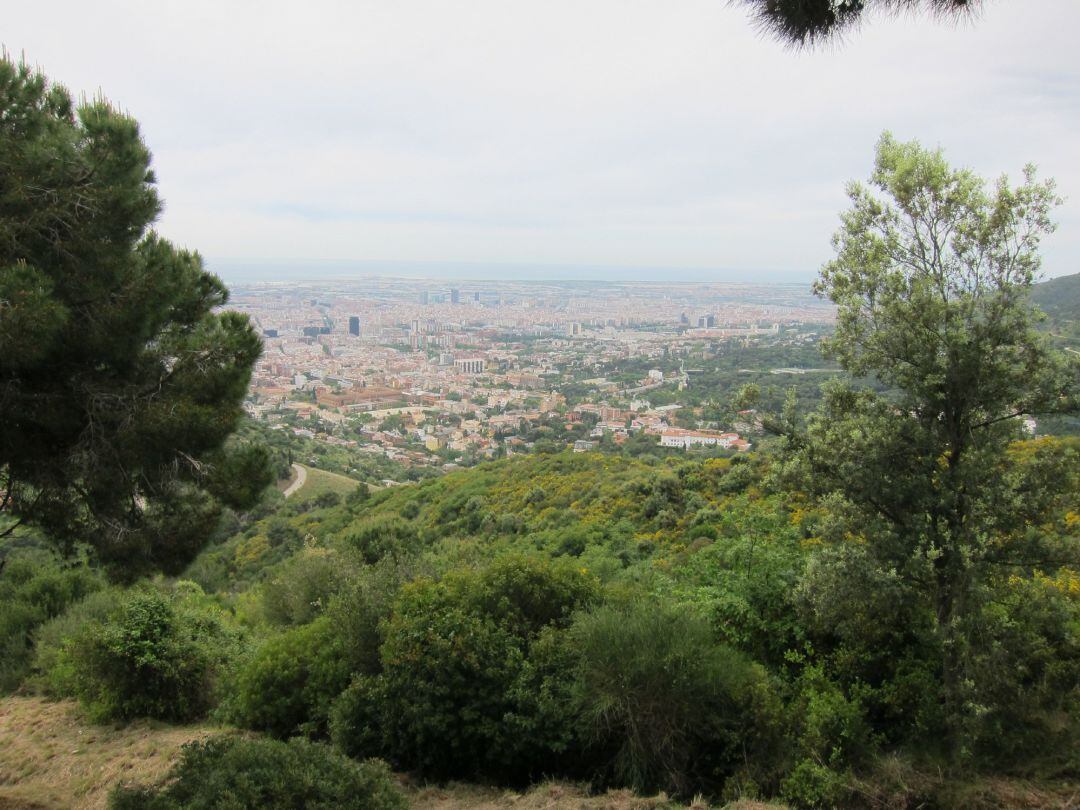 La Generalitat extiende el aviso preventivo por contaminación a toda Catalunya