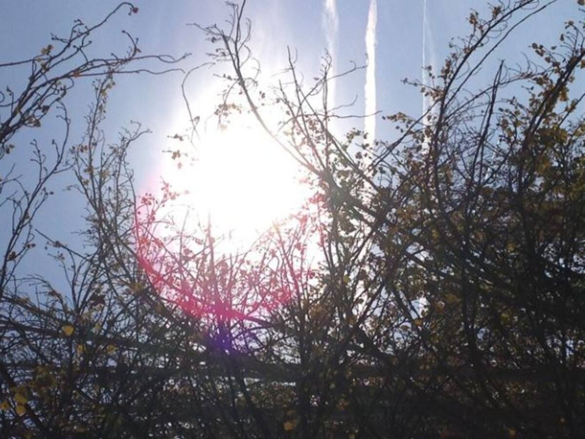 Cinco el número de golpes de calor en la Región, dos de ellos en estado crítico
