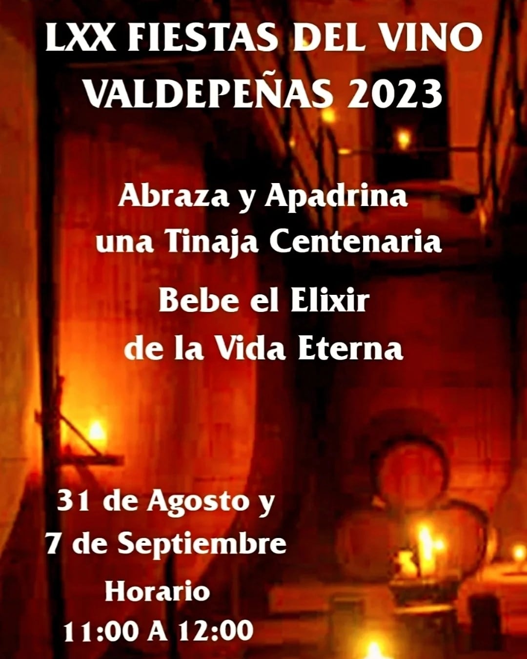 Cartel de la actividad