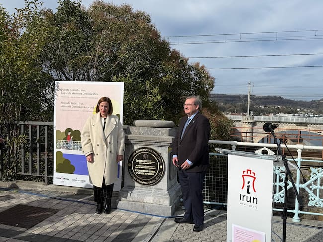 Imagen en el Puente Avenida de Irun.