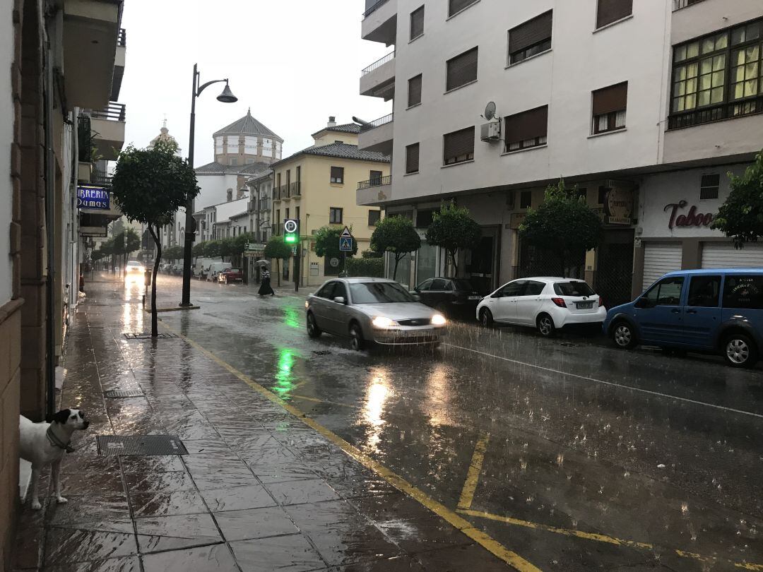 Las lluvias regresarán a la ciudad del Tajo a partir de este martes