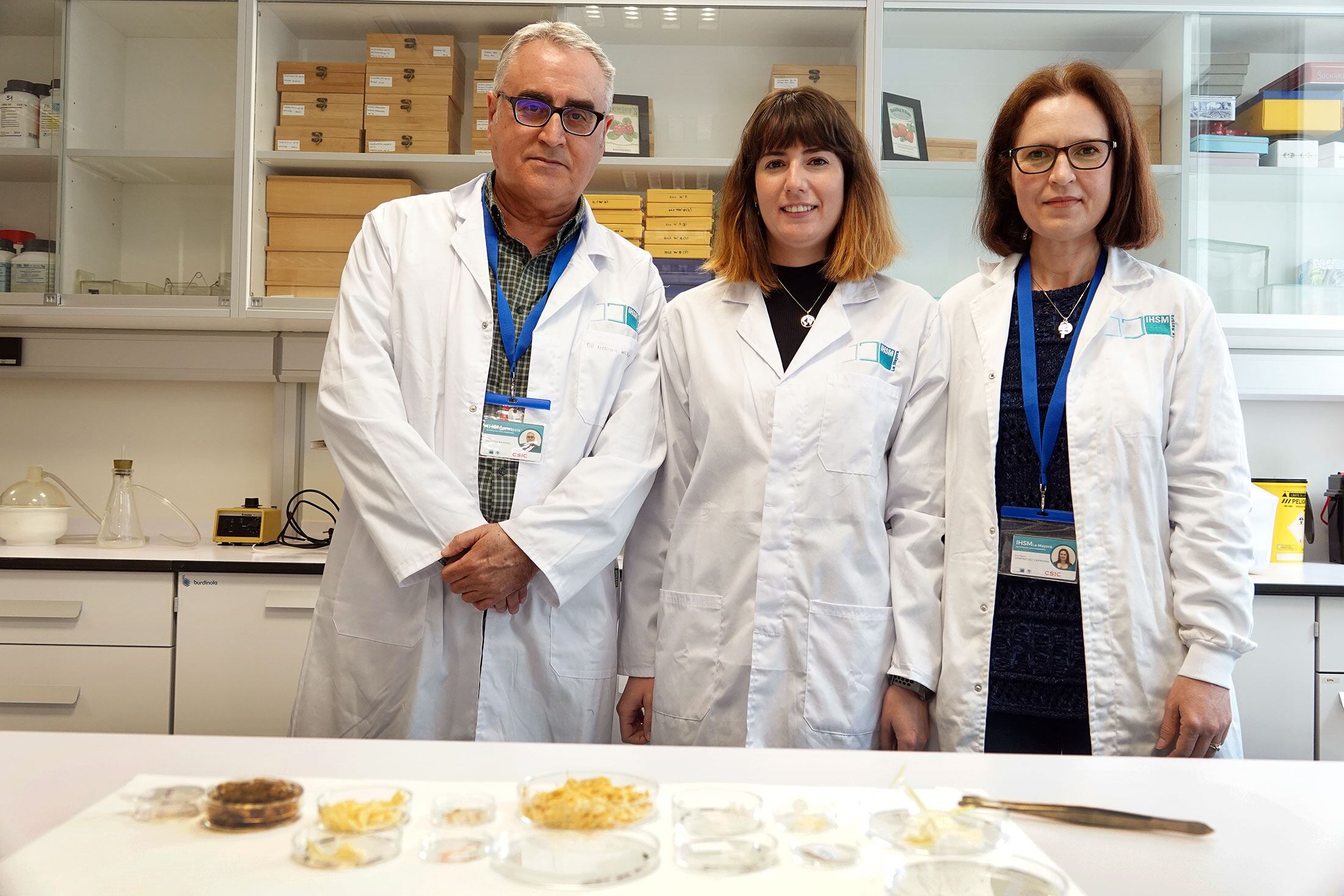 Investigadores del IHSM (UMA-CSIC) demuestran que la parte más externa de los vegetales puede absorber hasta el 90% de la luz solar dañina y transformarla en calor