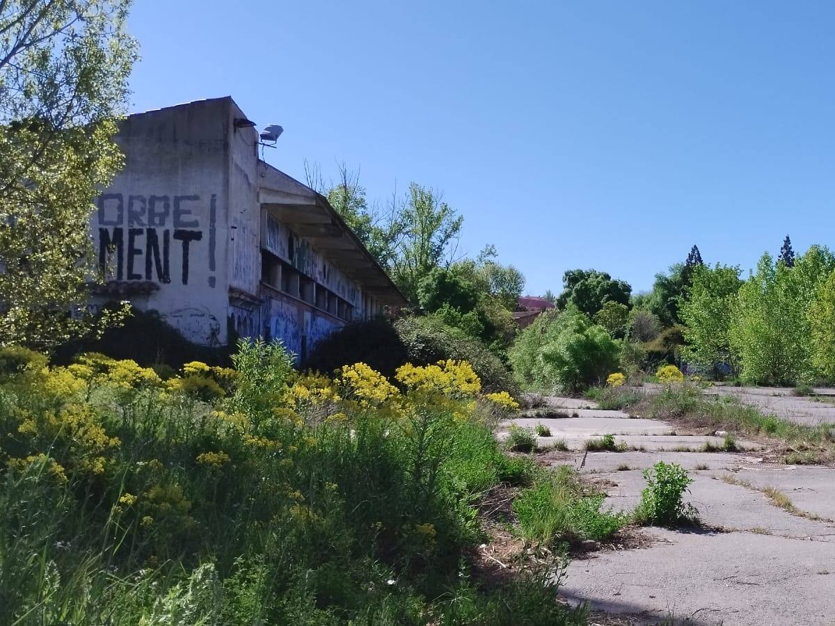 Ángel Lerma, portavoz de los feriantes, valora la decisión del Ayuntamiento de Segovia de trasladar el recinto ferial al Antiguo Regimiento
