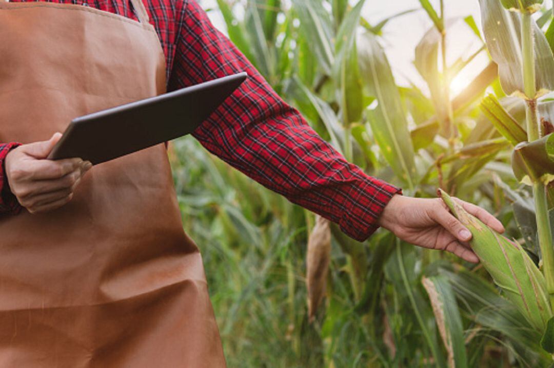 Agricultura y tecnología digital 