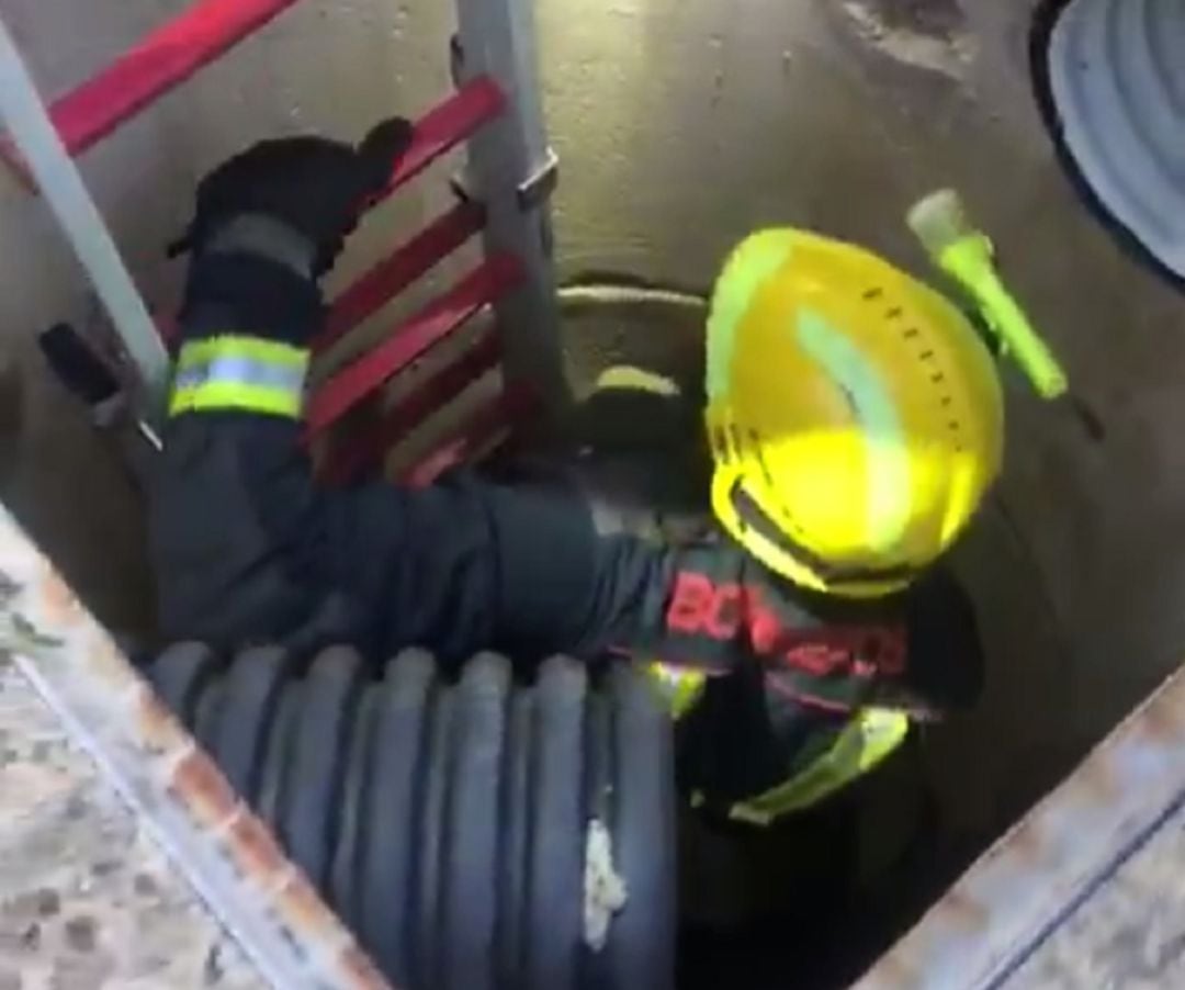 En esta noticia puedes ver, en video, el proceso de rescate de un gatito en Jaén por parte del cuerpo de Bomberos