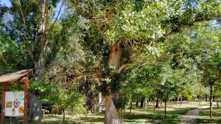 Se abre el periodo para solicitar una plaza en el Campamento de San Pedro de las Herrerías