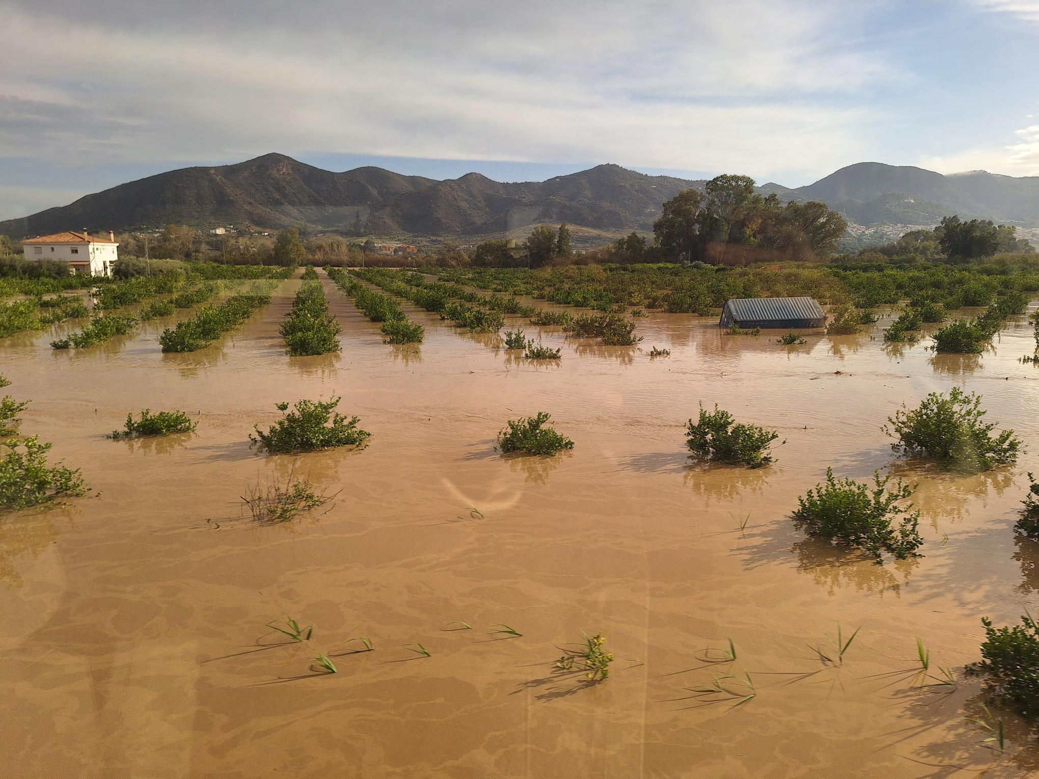 Huerta inundada en Pizarra