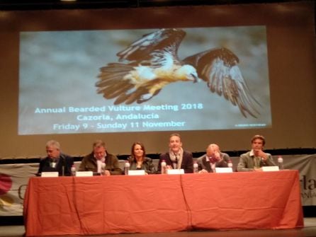 Inauguracion congreso internacional sobre la reintroducción del quebrantahuesos