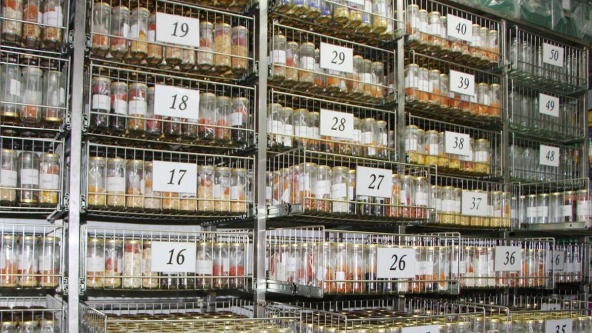 Murcia cuenta con su propia "Arca de Noé" con más de 9.000 especies vegetales