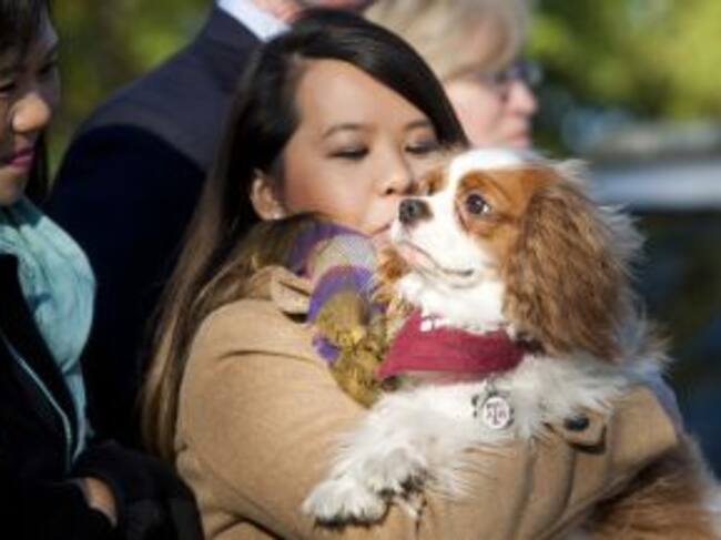 Nina Pham abraza a su perro, Betley