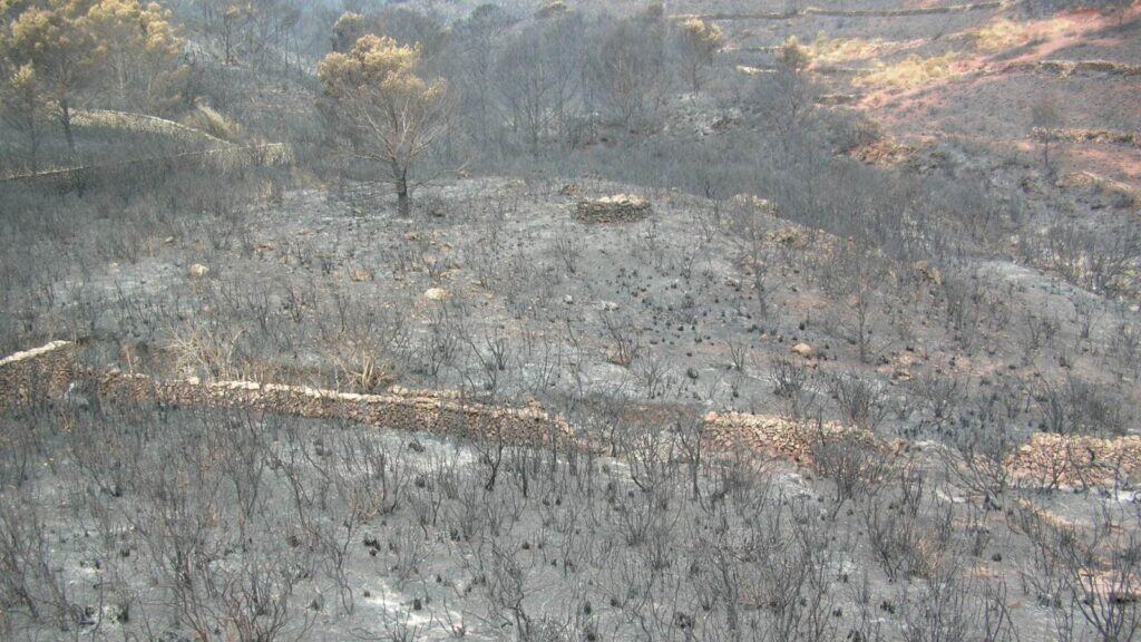 Els incendis no mereixeran sancions administratives.