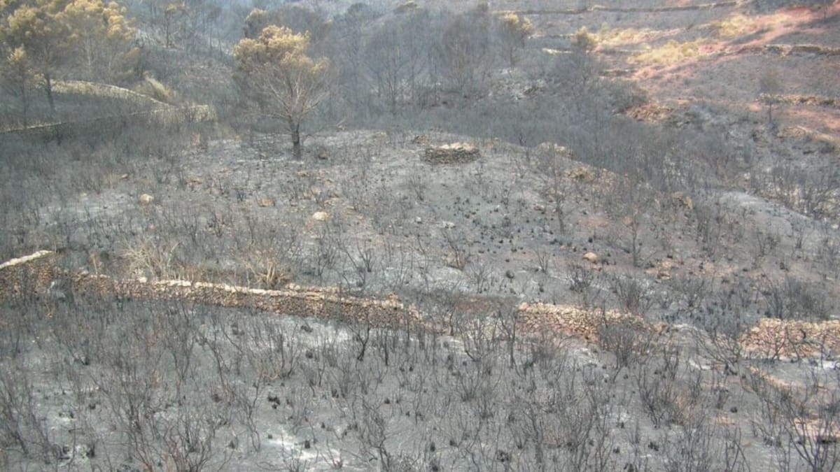Els incendis provocats seran delicte però no mereixeran una sanció administrativa