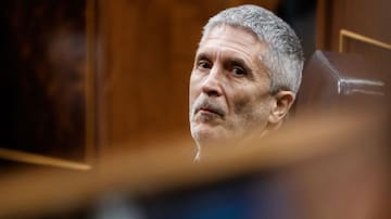 Grande-Marlaska: "Todos los sistemas de protección civil llevan días trabajando para prevenir esta situación"