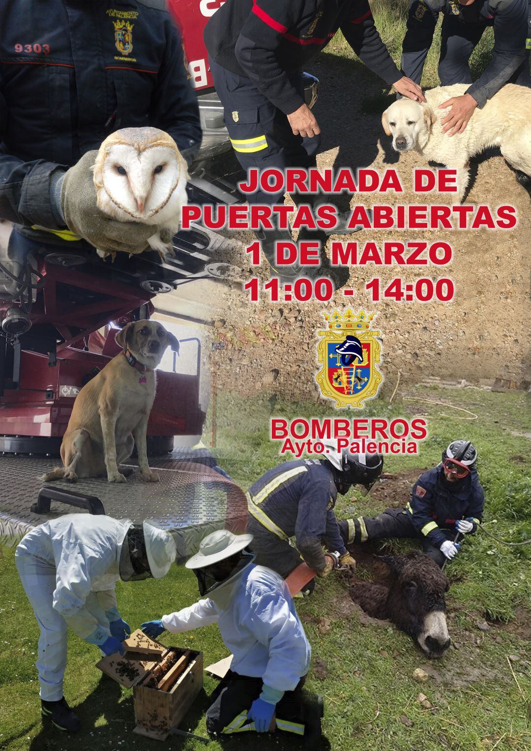 Los Bomberos de Palencia se disponen a vivir su fiesta
