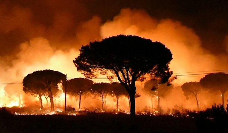 Imagen del incendio declarado anoche en el paraje La Peñuela de Moguer (Huelva).