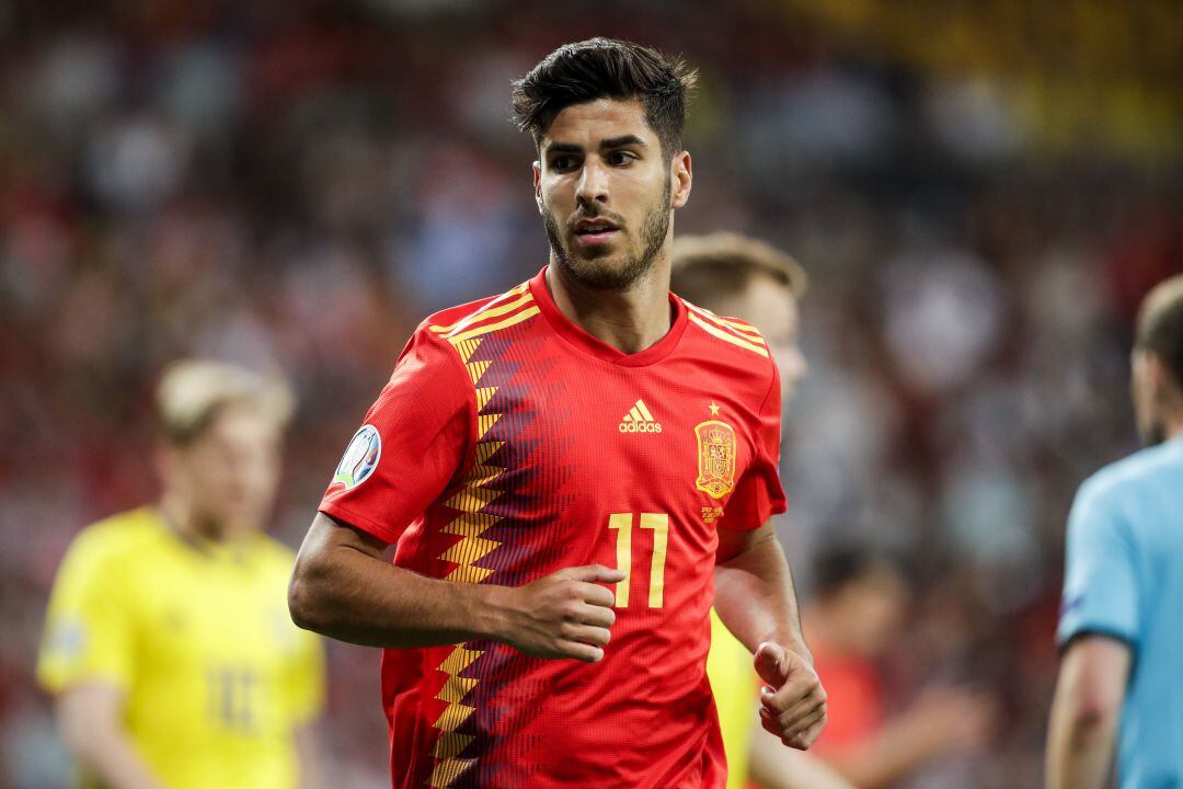 Asensio, durante un España-Suecia.
