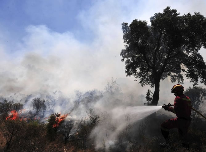 Un miembros de la Unidad Militar de Emergencias trabaja hoy en un bosque de Cantallops para sofocar el incendio declarado ayer en La Jonquera