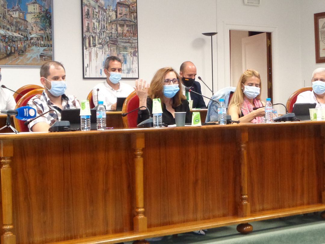 Elia Salinero en un pleno celebrado en septiembre