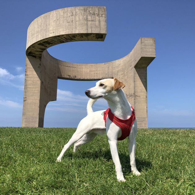 Pipper durante su paso por Gijón.