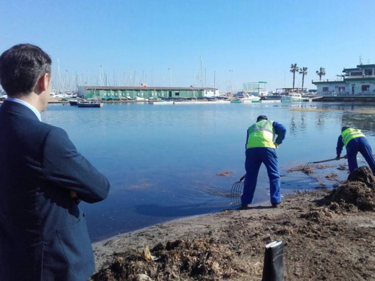 1.320 metros cúbicos de algas y 244 de otros residuos se retiraron del Mar Menor en 2017