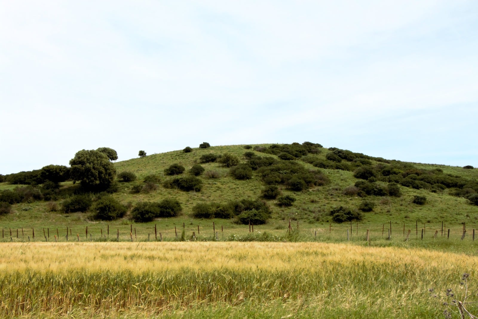 Recorrido Cañada de Vicos