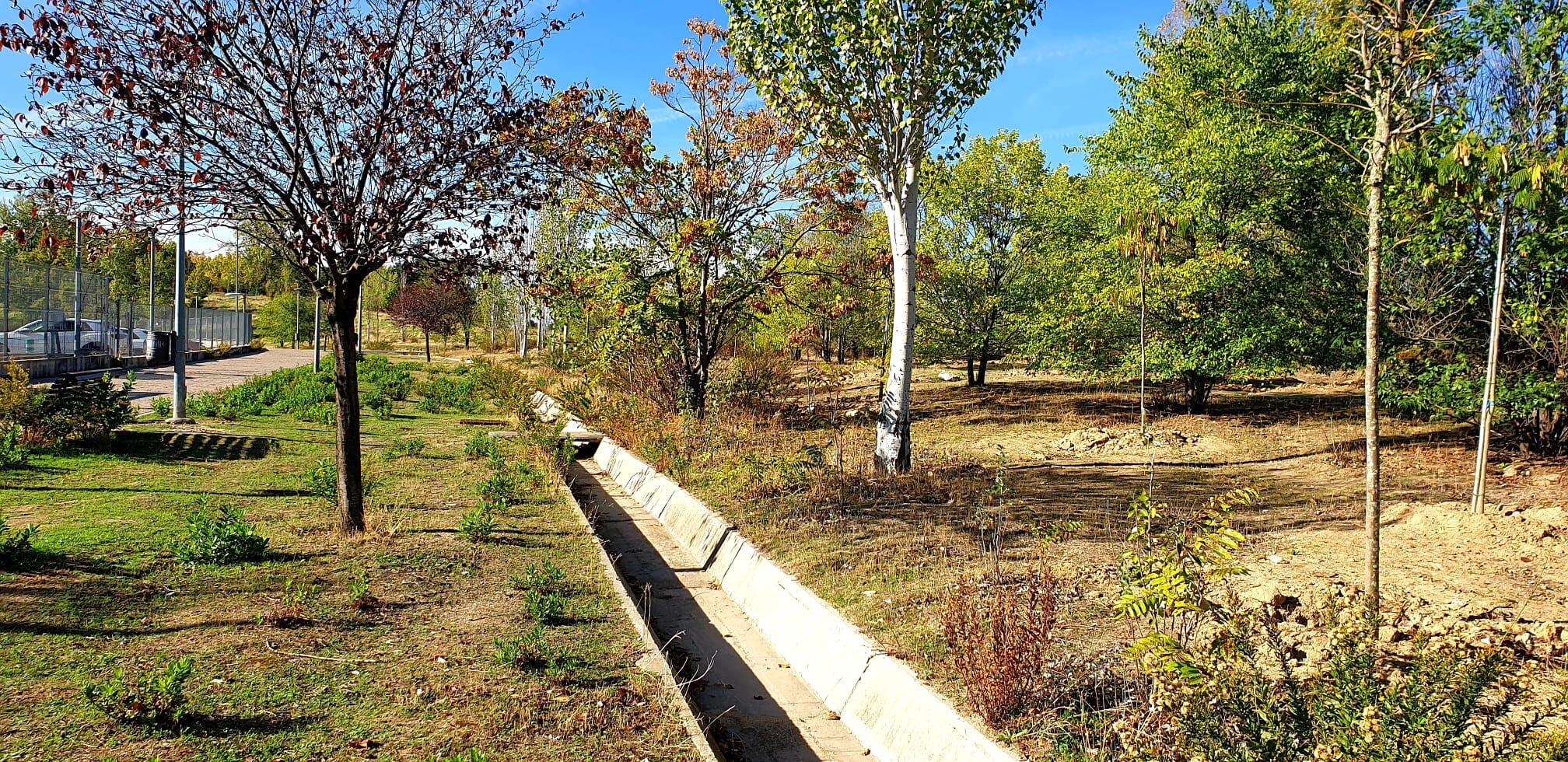 Alcobendas será una de las primeras ciudades españolas en construir un bosque Miyawoki