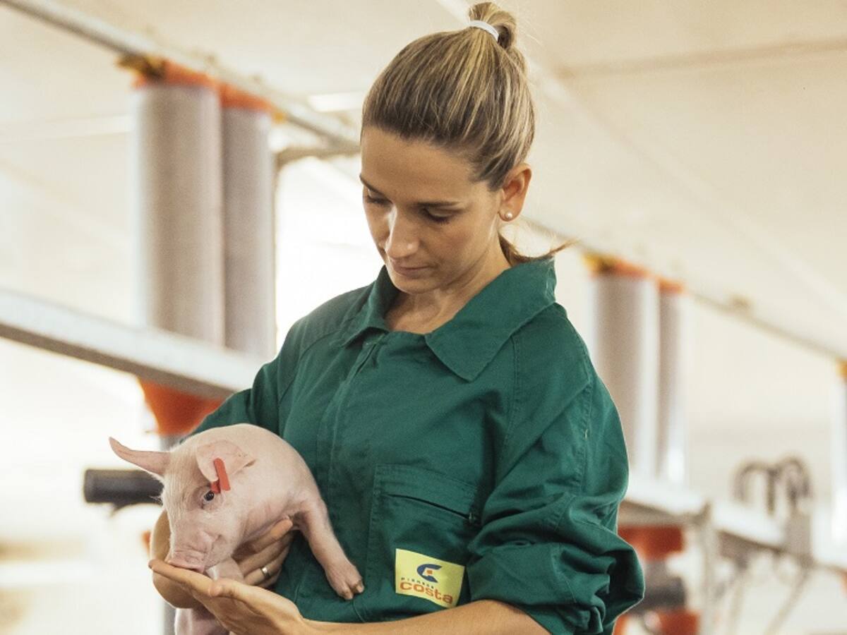 Costa Food Group: la excelencia en las granjas pasa por la innovación continua
