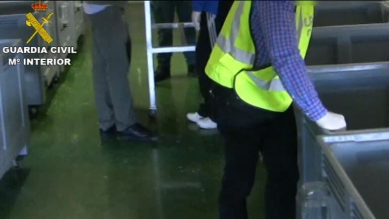 El SEPRONA ha actuat però el problema segueix.