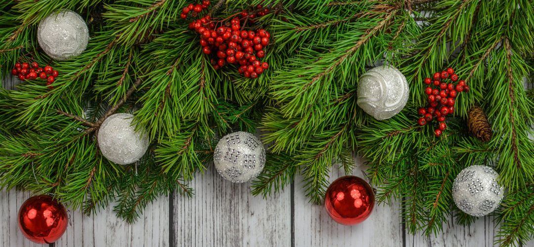 Abeto navideño