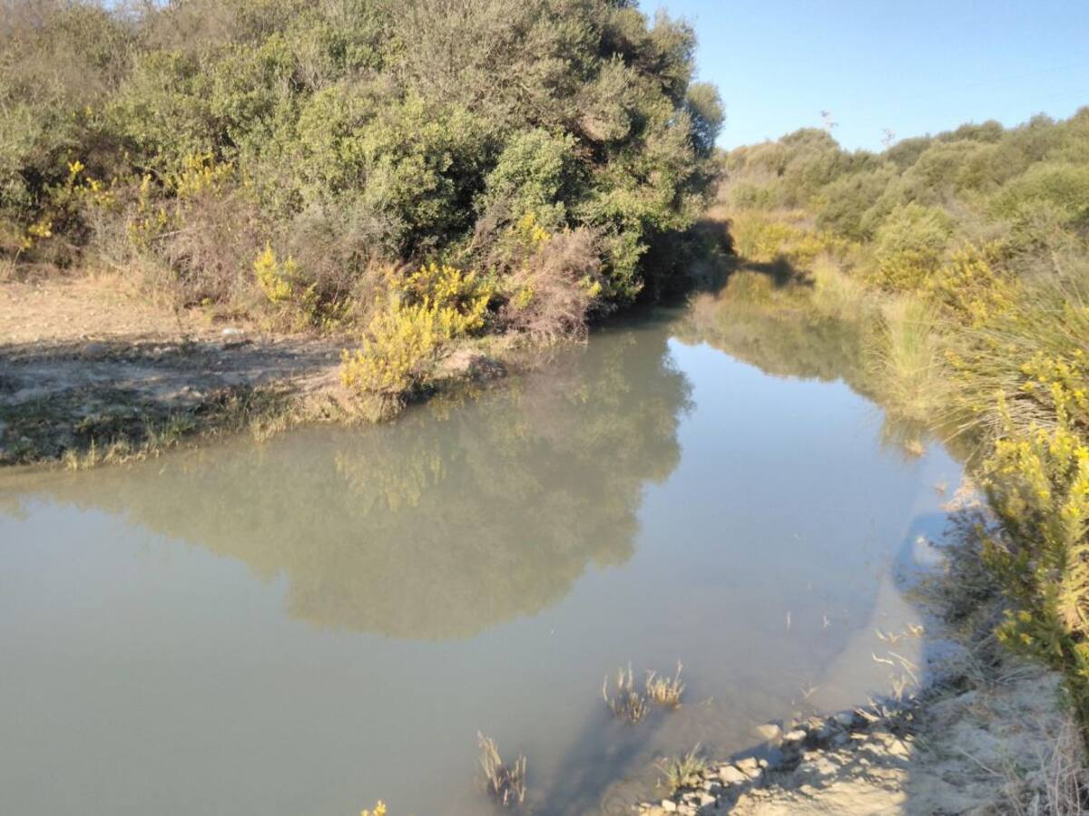 Agaden denuncia una nueva fuga de agua potable en La Línea