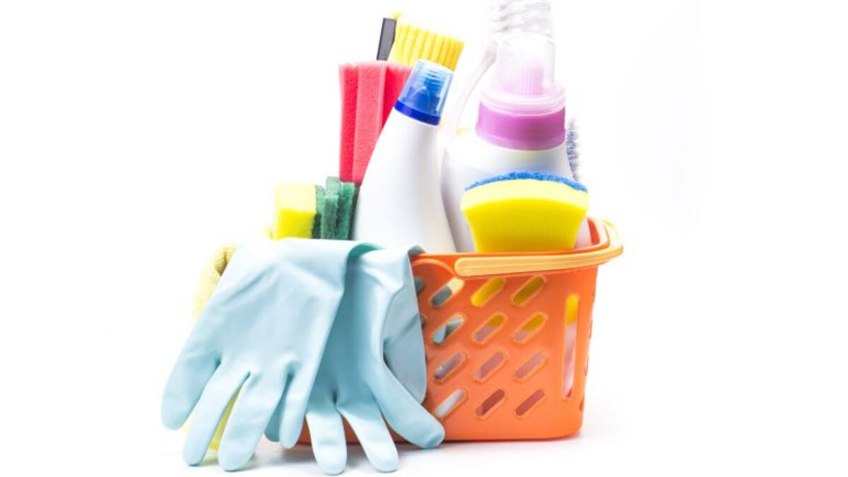 Las limpiadoras no subrogadas de Abeto en la SER