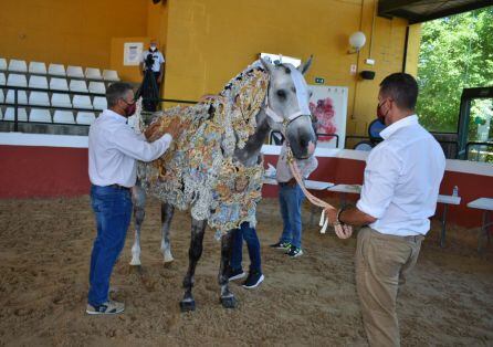 Ejemplar de Caravaca de la Cruz