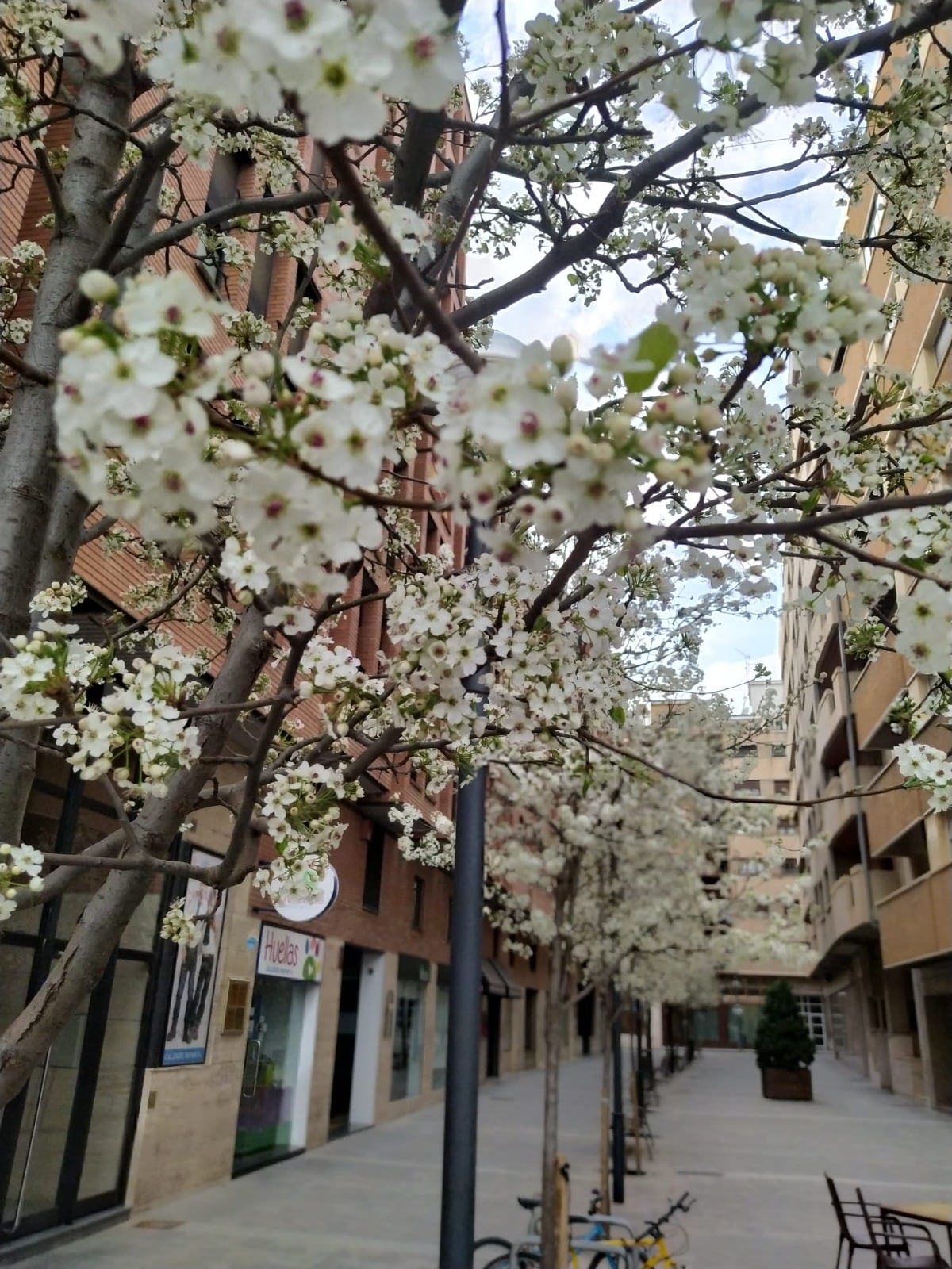 Imagen naturaleza Huesca