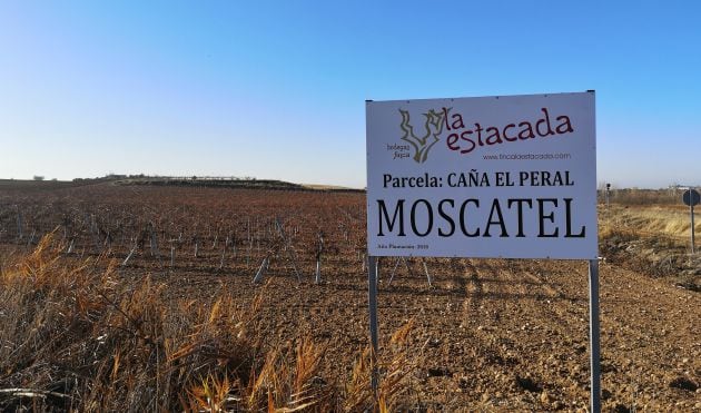 Viñedos de Finca La Estacada.