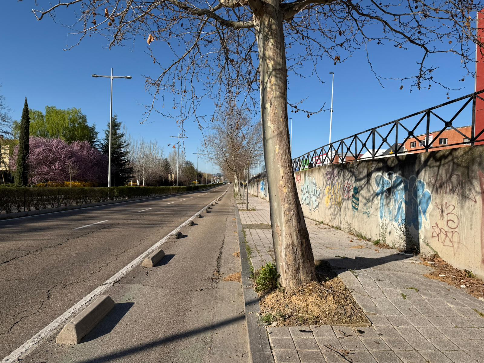 Arreglo de aceras en Avenida de Salamanca, Valladolid