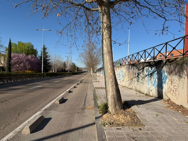 Arreglo de aceras en Avenida de Salamanca, Valladolid