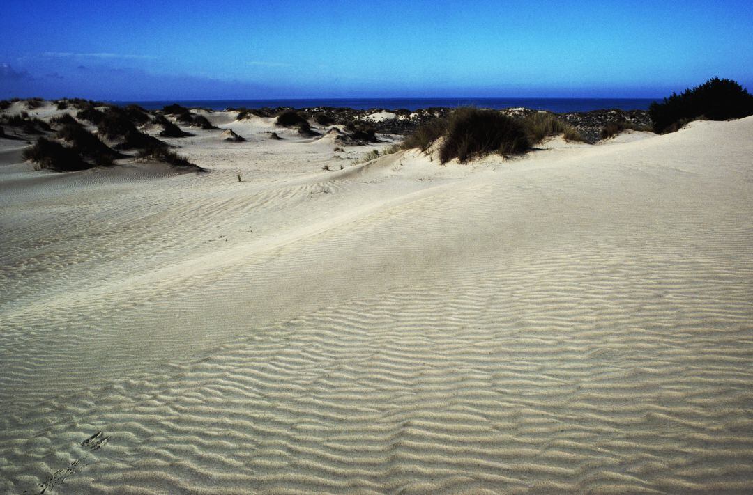 La playa de Doñana, entre las diez mejores playas para mantener la distancia de seguridad este verano.