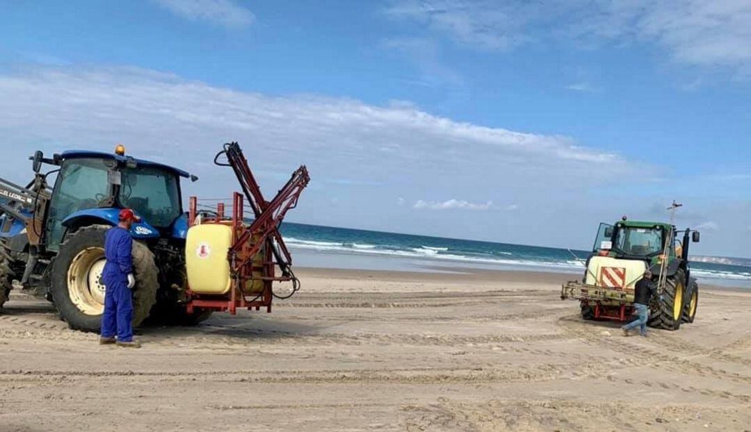 Fotografía realizada el pasado domingo 26 de abril y facilitada por las asociaciones ecologistas Agaden y Voluntarios de Trafalgar, de los tractores usados en la playa de Zahara de los Atunes (Cádiz) para fumigar con lejía la arena para su desinfección.