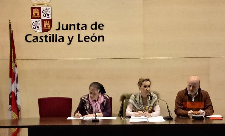 En el centro, la Directora General de Telecomunicaciones de la Junta, María Victoria Seco, en la reunión con alcaldes y operadores de la provincia para informar de las nuevas ayudas a la banda ancha