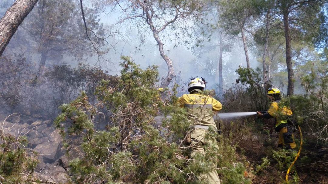 Los efectivos trabajando en las labores de extinción