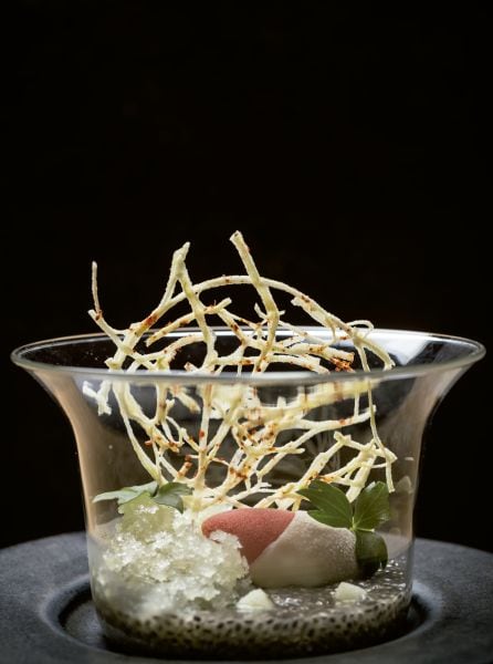 Sopa de chía, granizado de manzana y apio y sorbete de fresa.