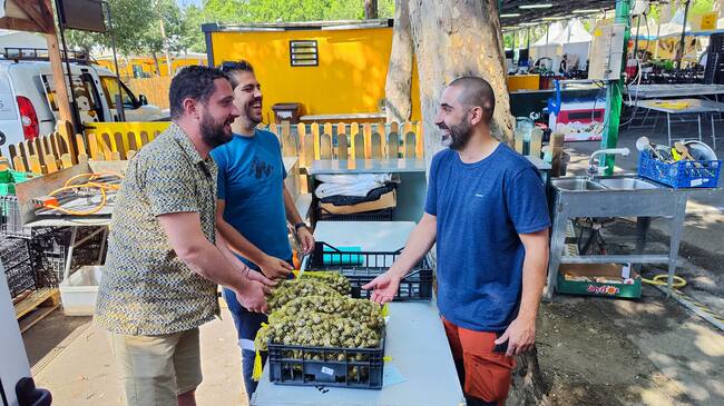 Roger Claverol, Ramon Latorre i Miquel Villa, de la colla "Els Pirates", aquest matí de divendres preparant els caragols a l'Aplec del Caragol. Foto: Ràdio Lleida.