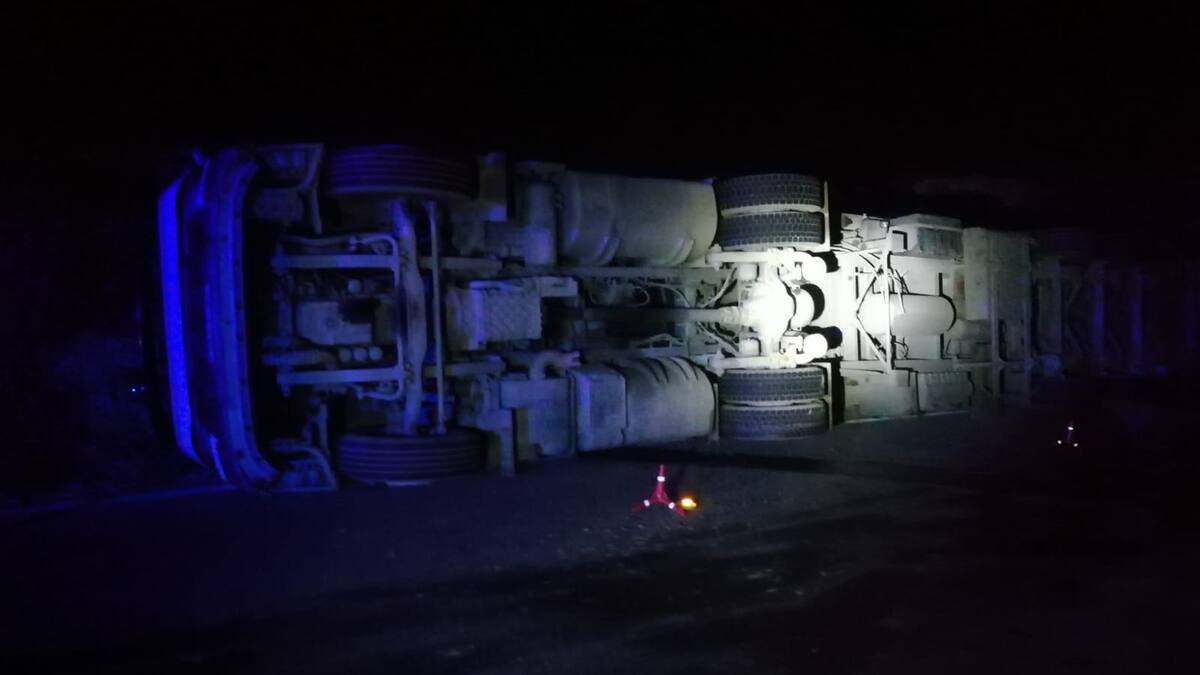 Un camión cargado con 200 cerdos vuelca cerca de Peralta de Alcofea