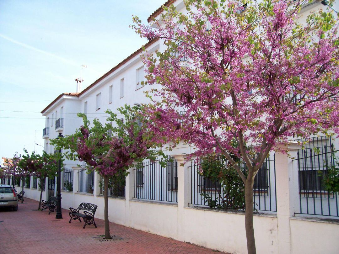 Exteriores de la residencia