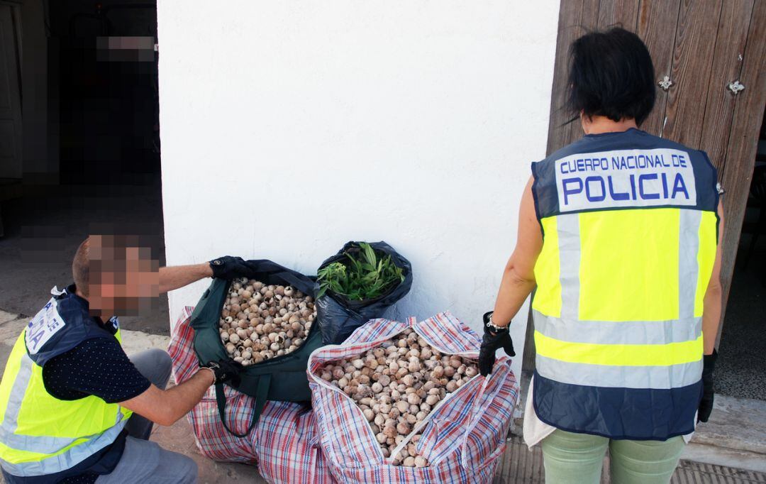 La droga que la policía ha confiscado. 