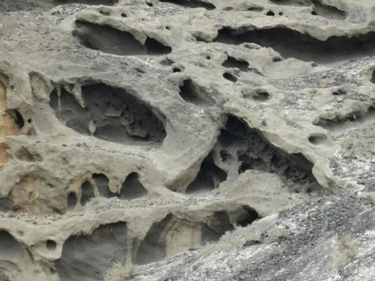 Pillados "profanando" un espacio protegido en La Graciosa
