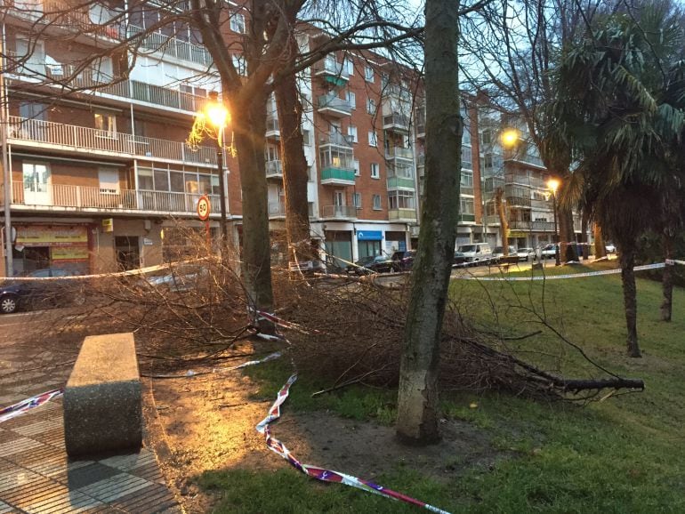 Efectos del temporal de viento