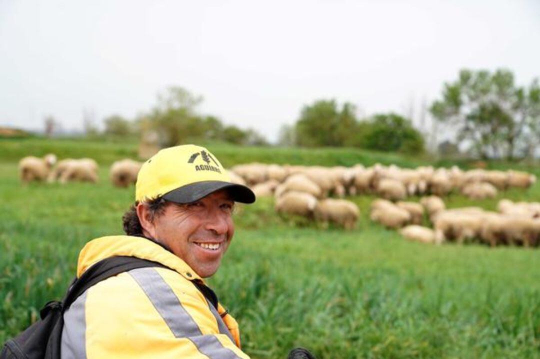 Ganadero pastoreando con su rebaño