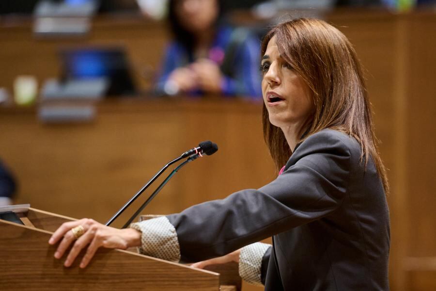 La parlamentaria de UPN María Jesús Valdemoros interviene en el pleno del Parlamento de Navarra